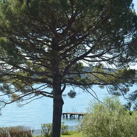 Bequi Panzió
